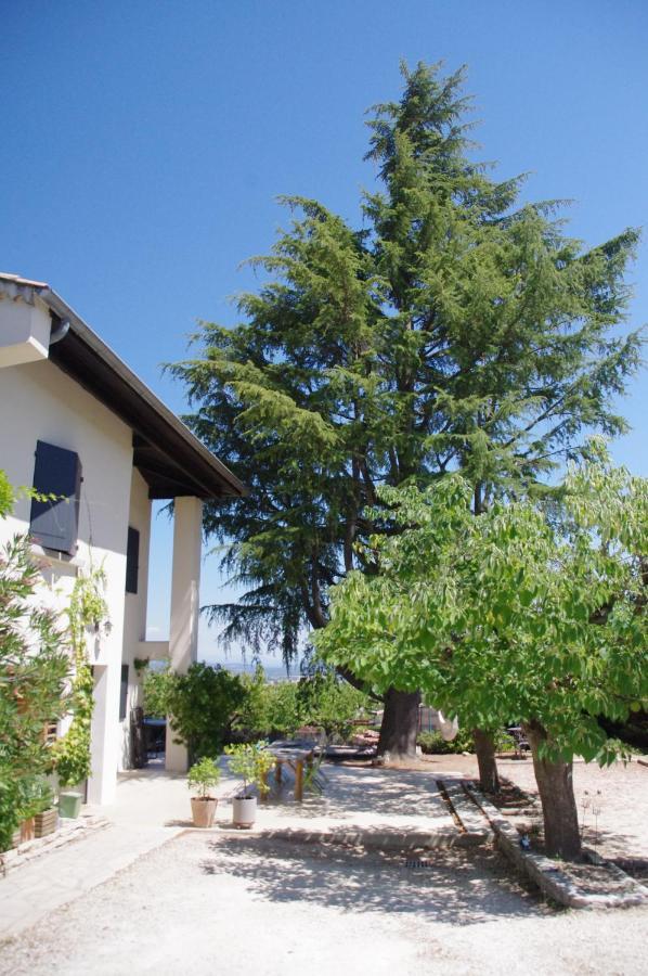 Le Grand Cedre - 2 Chambres D'Hotes - Sud Ardeche บูร์ก-แซ็ง-ต็องเดอ็อล ภายนอก รูปภาพ