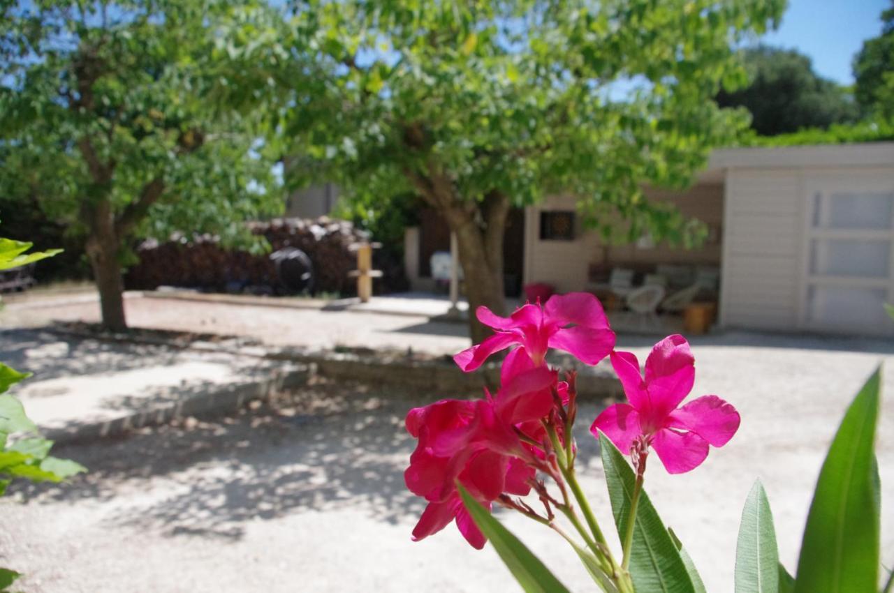 Le Grand Cedre - 2 Chambres D'Hotes - Sud Ardeche บูร์ก-แซ็ง-ต็องเดอ็อล ภายนอก รูปภาพ